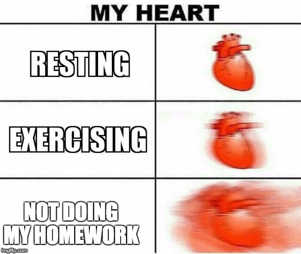 MY HEART | NOT DOING MY HOMEWORK | image tagged in my heart | made w/ Imgflip meme maker