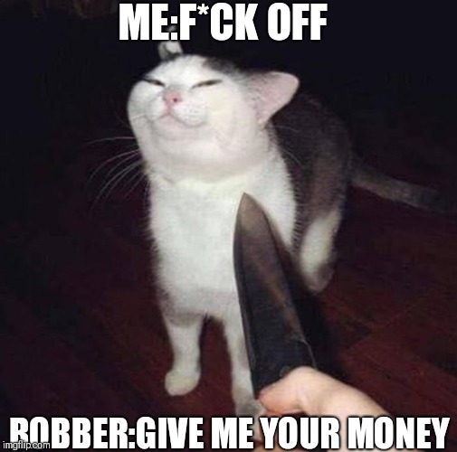 Cat | ME:F*CK OFF; ROBBER:GIVE ME YOUR MONEY | image tagged in cat | made w/ Imgflip meme maker
