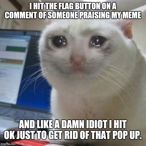 Crying cat | I HIT THE FLAG BUTTON ON A COMMENT OF SOMEONE PRAISING MY MEME AND LIKE A DAMN IDIOT I HIT OK JUST TO GET RID OF THAT POP UP. | image tagged in crying cat | made w/ Imgflip meme maker