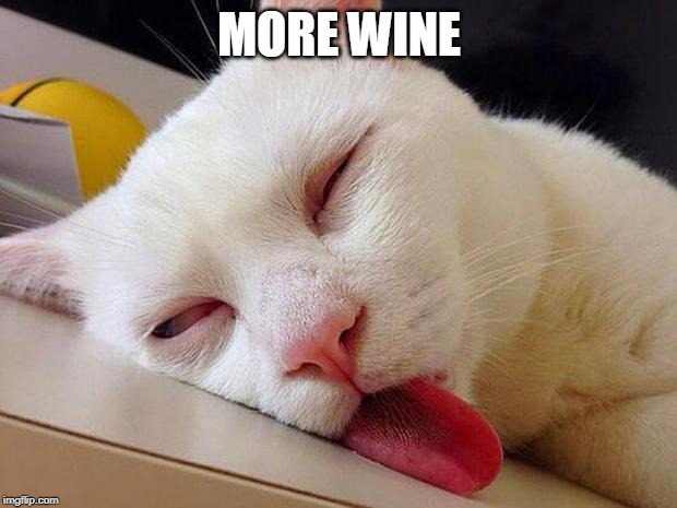 drunk cat boeing | MORE WINE | image tagged in drunk cat boeing | made w/ Imgflip meme maker