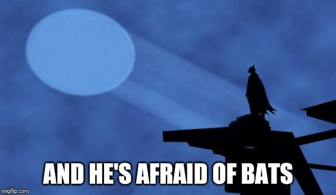 batman signal | AND HE'S AFRAID OF BATS | image tagged in batman signal | made w/ Imgflip meme maker