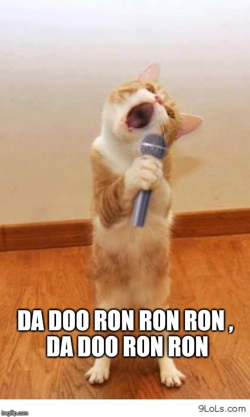 Cat Singer | DA DOO RON RON RON , 
DA DOO RON RON | image tagged in cat singer | made w/ Imgflip meme maker