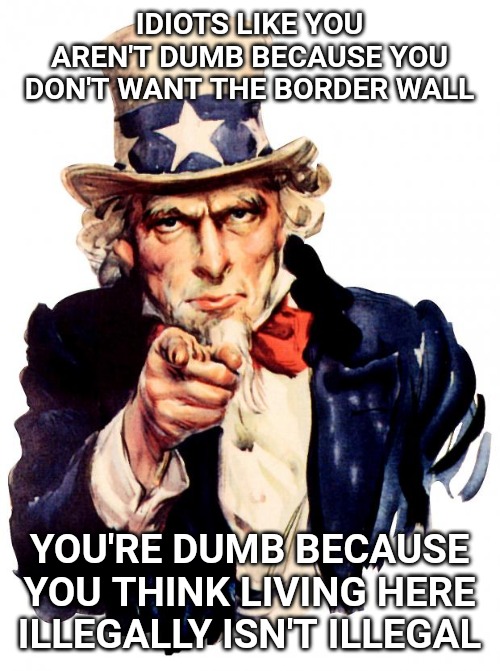 Uncle Sam Meme | IDIOTS LIKE YOU AREN'T DUMB BECAUSE YOU DON'T WANT THE BORDER WALL; YOU'RE DUMB BECAUSE YOU THINK LIVING HERE ILLEGALLY ISN'T ILLEGAL | image tagged in memes,uncle sam | made w/ Imgflip meme maker