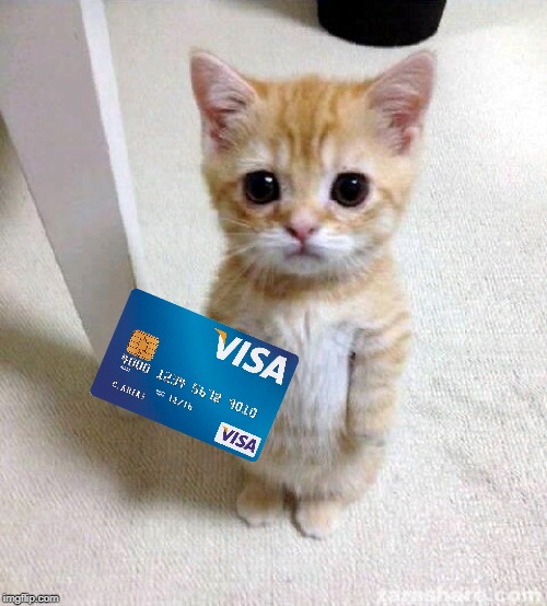 Cute Cat Meme | image tagged in memes,cute cat | made w/ Imgflip meme maker