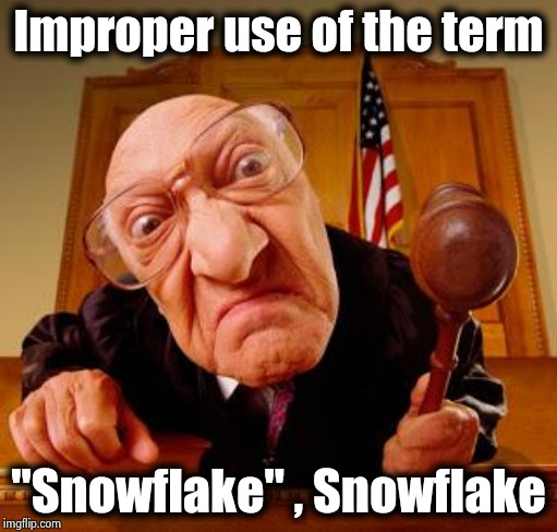 Mean Judge | Improper use of the term "Snowflake" , Snowflake | image tagged in mean judge | made w/ Imgflip meme maker