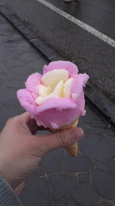 image tagged in funny