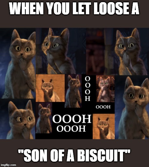 OOOH... | WHEN YOU LET LOOSE A; "SON OF A BISCUIT" | image tagged in oooh | made w/ Imgflip meme maker