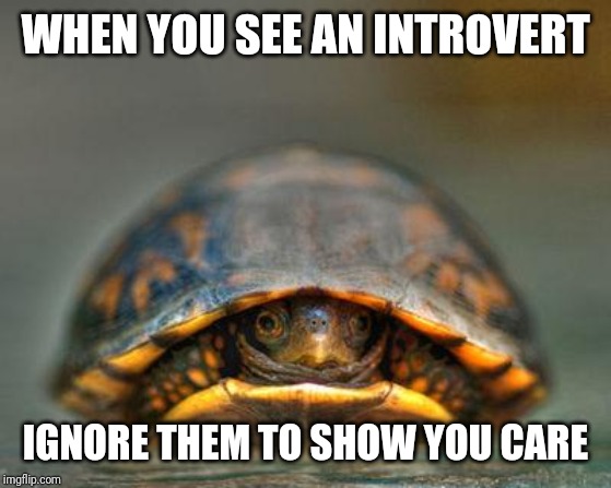 introverts | WHEN YOU SEE AN INTROVERT; IGNORE THEM TO SHOW YOU CARE | image tagged in introverts | made w/ Imgflip meme maker