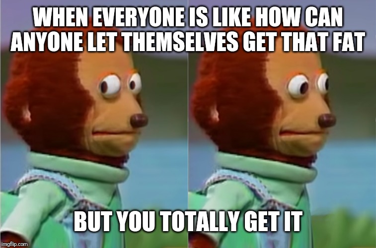 puppet Monkey looking away | WHEN EVERYONE IS LIKE HOW CAN ANYONE LET THEMSELVES GET THAT FAT; BUT YOU TOTALLY GET IT | image tagged in puppet monkey looking away | made w/ Imgflip meme maker