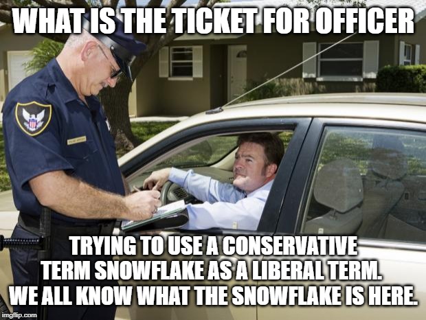 speeding ticket | WHAT IS THE TICKET FOR OFFICER TRYING TO USE A CONSERVATIVE TERM SNOWFLAKE AS A LIBERAL TERM.  WE ALL KNOW WHAT THE SNOWFLAKE IS HERE. | image tagged in speeding ticket | made w/ Imgflip meme maker