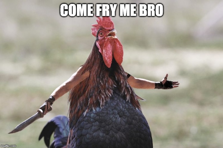 Gladiator Rooster | COME FRY ME BRO | image tagged in gladiator rooster | made w/ Imgflip meme maker