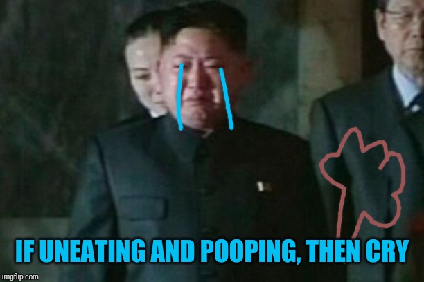 Kim Jong Un Sad Meme | IF UNEATING AND POOPING, THEN CRY | image tagged in memes,kim jong un sad | made w/ Imgflip meme maker