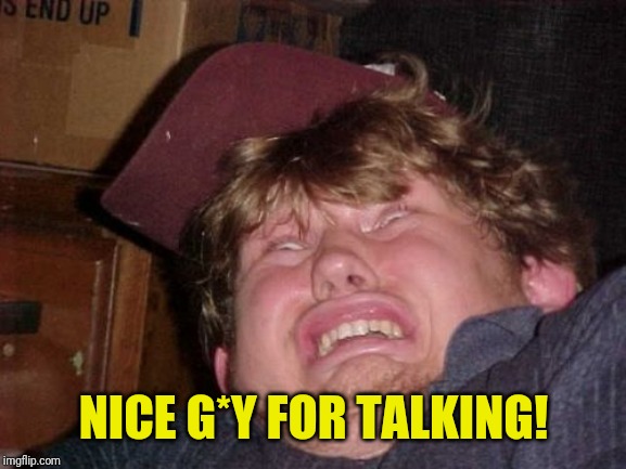 WTF Meme | NICE G*Y FOR TALKING! | image tagged in memes,wtf | made w/ Imgflip meme maker