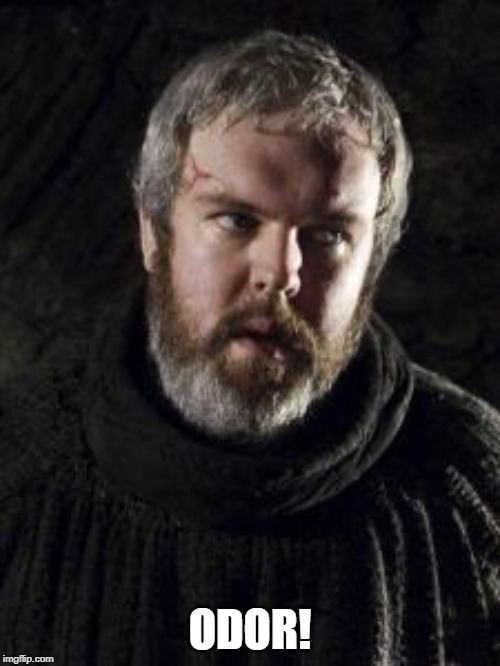 hodor | ODOR! | image tagged in hodor | made w/ Imgflip meme maker