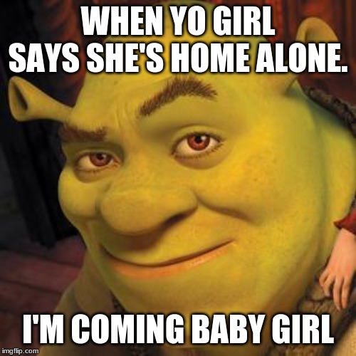 Shrek Sexy Face | WHEN YO GIRL SAYS SHE'S HOME ALONE. I'M COMING BABY GIRL | image tagged in shrek sexy face | made w/ Imgflip meme maker