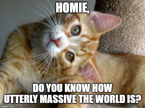HOMIE, DO YOU KNOW HOW UTTERLY MASSIVE THE WORLD IS? | made w/ Imgflip meme maker