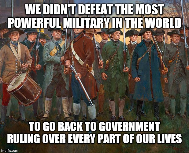 Patriots | WE DIDN'T DEFEAT THE MOST POWERFUL MILITARY IN THE WORLD; TO GO BACK TO GOVERNMENT RULING OVER EVERY PART OF OUR LIVES | image tagged in patriots | made w/ Imgflip meme maker