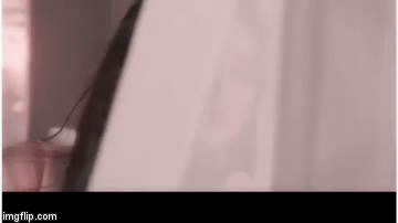 image tagged in gifs | made w/ Imgflip video-to-gif maker