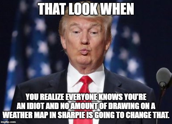 that look | THAT LOOK WHEN; YOU REALIZE EVERYONE KNOWS YOU'RE AN IDIOT AND NO AMOUNT OF DRAWING ON A WEATHER MAP IN SHARPIE IS GOING TO CHANGE THAT. | image tagged in donald trump is an idiot,donald trump the clown,conservative logic | made w/ Imgflip meme maker