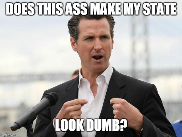 gavin newsome | DOES THIS ASS MAKE MY STATE; LOOK DUMB? | image tagged in gavin newsome | made w/ Imgflip meme maker