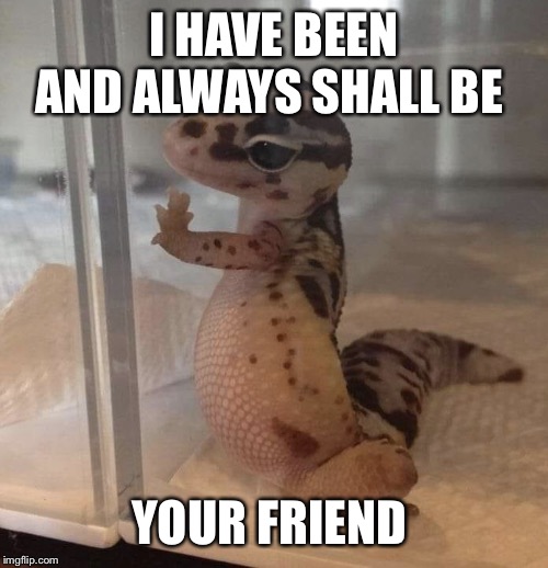 Pet Lizard | I HAVE BEEN AND ALWAYS SHALL BE; YOUR FRIEND | image tagged in pet lizard | made w/ Imgflip meme maker