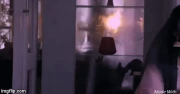 image tagged in gifs | made w/ Imgflip video-to-gif maker