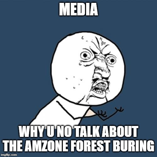 Y U No Meme | MEDIA; WHY U NO TALK ABOUT THE AMZONE FOREST BURING | image tagged in memes,y u no | made w/ Imgflip meme maker