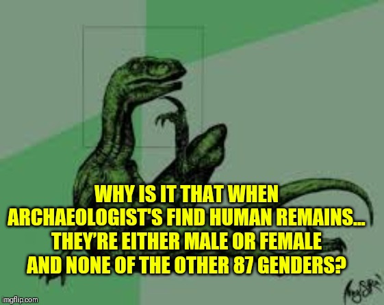 Philosoraptor 2.0 | WHY IS IT THAT WHEN ARCHAEOLOGIST'S FIND HUMAN REMAINS... THEY’RE EITHER MALE OR FEMALE AND NONE OF THE OTHER 87 GENDERS? | image tagged in philosoraptor 20 | made w/ Imgflip meme maker
