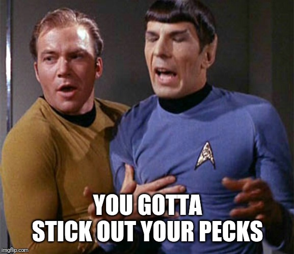 Star trek Jim Kirk Spock sock  | YOU GOTTA STICK OUT YOUR PECKS | image tagged in star trek jim kirk spock sock | made w/ Imgflip meme maker