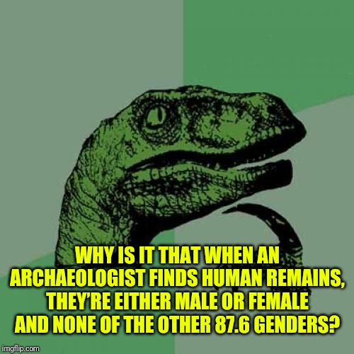 Philosoraptor Meme | WHY IS IT THAT WHEN AN ARCHAEOLOGIST FINDS HUMAN REMAINS, THEY’RE EITHER MALE OR FEMALE AND NONE OF THE OTHER 87.6 GENDERS? | image tagged in memes,philosoraptor | made w/ Imgflip meme maker