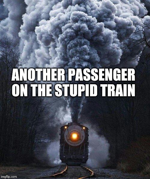 train | ANOTHER PASSENGER ON THE STUPID TRAIN | image tagged in train | made w/ Imgflip meme maker