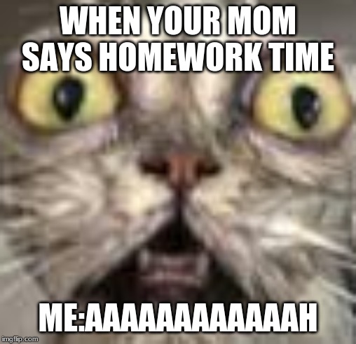 the cats | WHEN YOUR MOM SAYS HOMEWORK TIME; ME:AAAAAAAAAAAAH | image tagged in the cats | made w/ Imgflip meme maker