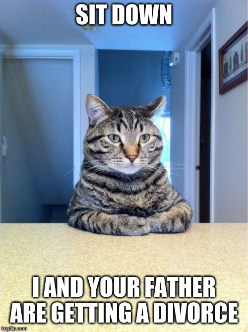 Take A Seat Cat | SIT DOWN; I AND YOUR FATHER ARE GETTING A DIVORCE | image tagged in memes,take a seat cat | made w/ Imgflip meme maker