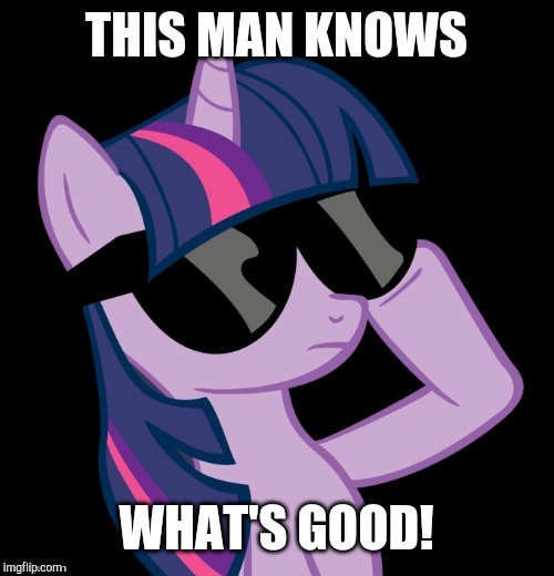 Twilight with shades | THIS MAN KNOWS WHAT'S GOOD! | image tagged in twilight with shades | made w/ Imgflip meme maker