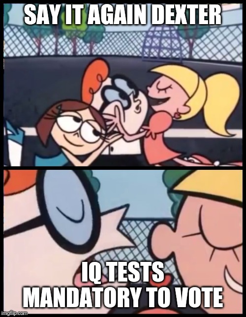 Can we make this viral? It's almost time we start something useful here. | SAY IT AGAIN DEXTER; IQ TESTS MANDATORY TO VOTE | image tagged in memes,say it again dexter | made w/ Imgflip meme maker