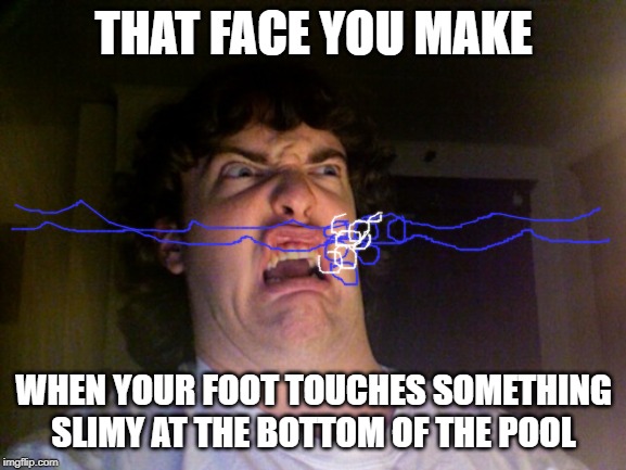 Oh No | THAT FACE YOU MAKE; WHEN YOUR FOOT TOUCHES SOMETHING SLIMY AT THE BOTTOM OF THE POOL | image tagged in memes,oh no | made w/ Imgflip meme maker