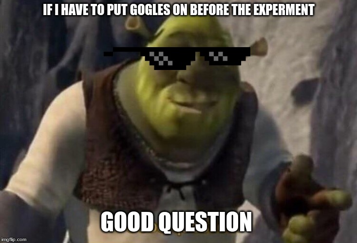 Shrek good question | IF I HAVE TO PUT GOGLES ON BEFORE THE EXPERMENT; GOOD QUESTION | image tagged in shrek good question | made w/ Imgflip meme maker