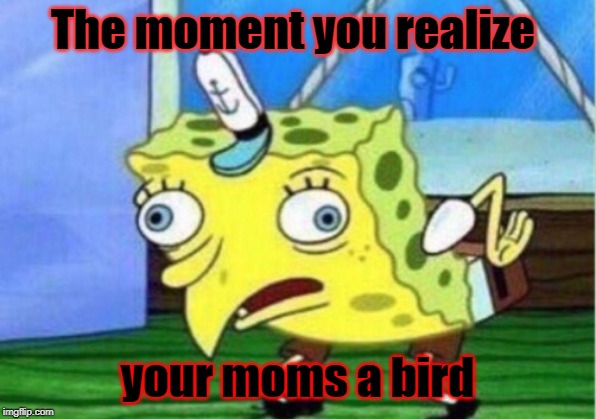 Mocking Spongebob Meme | The moment you realize; your moms a bird | image tagged in memes,mocking spongebob | made w/ Imgflip meme maker