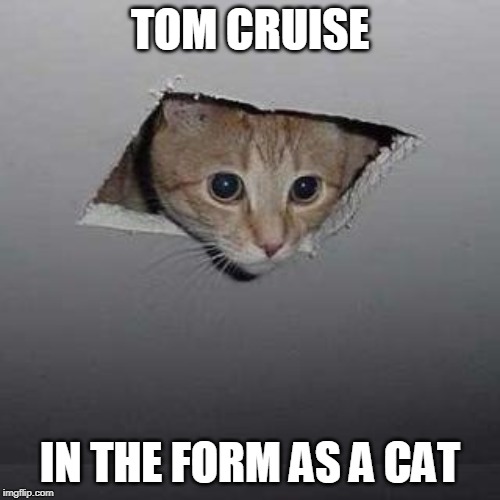 Ceiling Cat Meme | TOM CRUISE; IN THE FORM AS A CAT | image tagged in memes,ceiling cat | made w/ Imgflip meme maker