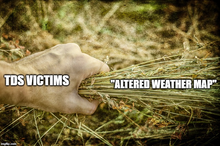 Grasping at straws | "ALTERED WEATHER MAP"; TDS VICTIMS | image tagged in tds,hurricane dorian | made w/ Imgflip meme maker