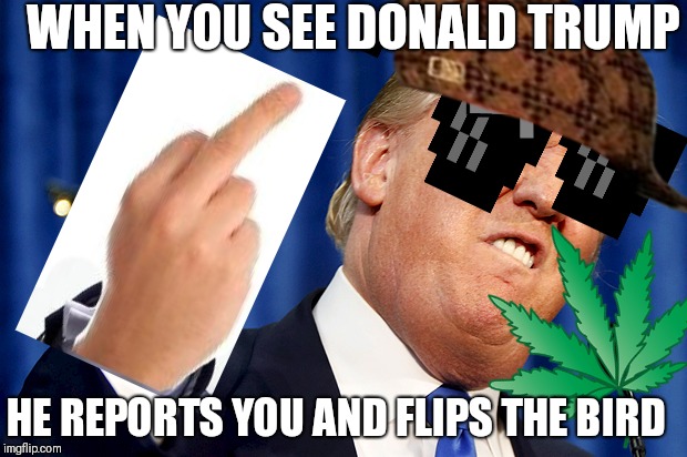 When you see trump | WHEN YOU SEE DONALD TRUMP; HE REPORTS YOU AND FLIPS THE BIRD | image tagged in donald trump | made w/ Imgflip meme maker