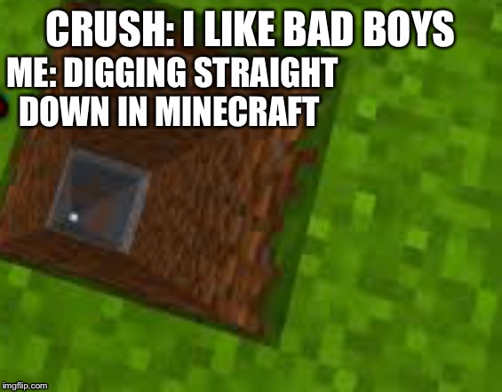 CRUSH: I LIKE BAD BOYS; ME: DIGGING STRAIGHT DOWN IN MINECRAFT | image tagged in memes,minecraft | made w/ Imgflip meme maker