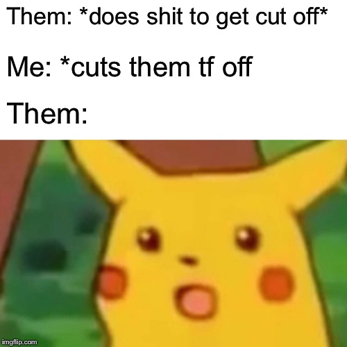 Surprised Pikachu Meme | Them: *does shit to get cut off*; Me: *cuts them tf off; Them: | image tagged in memes,surprised pikachu | made w/ Imgflip meme maker