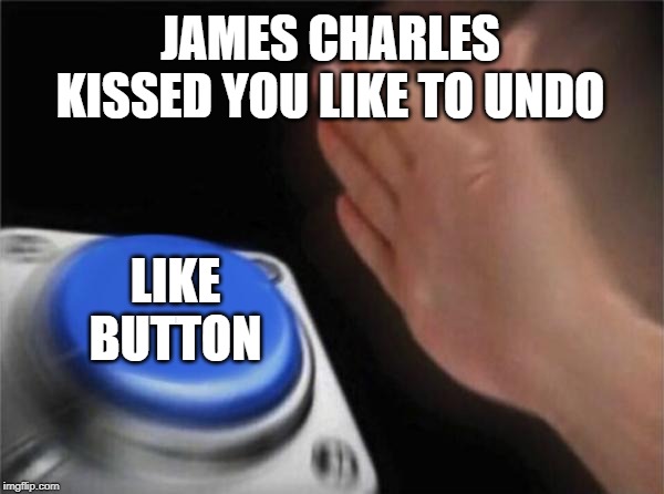 Blank Nut Button | JAMES CHARLES KISSED YOU LIKE TO UNDO; LIKE BUTTON | image tagged in memes,blank nut button | made w/ Imgflip meme maker
