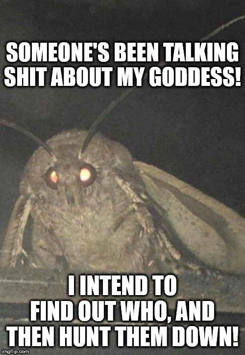 Moth | SOMEONE'S BEEN TALKING SHIT ABOUT MY GODDESS! I INTEND TO FIND OUT WHO, AND THEN HUNT THEM DOWN! | image tagged in moth | made w/ Imgflip meme maker