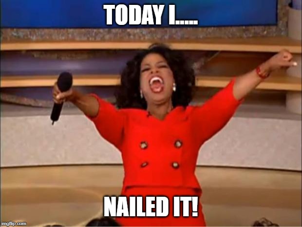 Oprah You Get A Meme | TODAY I..... NAILED IT! | image tagged in memes,oprah you get a | made w/ Imgflip meme maker