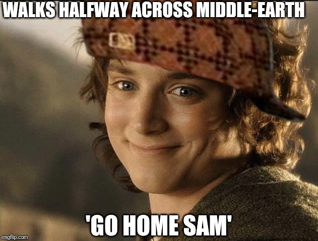 WALKS HALFWAY ACROSS MIDDLE-EARTH; 'GO HOME SAM' | image tagged in the lord of the rings | made w/ Imgflip meme maker