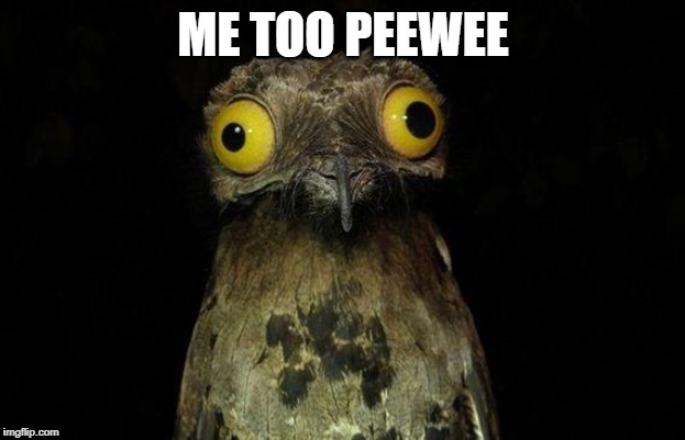 Weird Stuff I Do Potoo Meme | ME TOO PEEWEE | image tagged in memes,weird stuff i do potoo | made w/ Imgflip meme maker