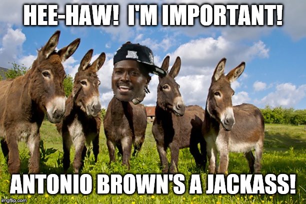 Antonio Brown's a jackass | HEE-HAW!  I'M IMPORTANT! ANTONIO BROWN'S A JACKASS! | image tagged in jackass,antonio brown | made w/ Imgflip meme maker