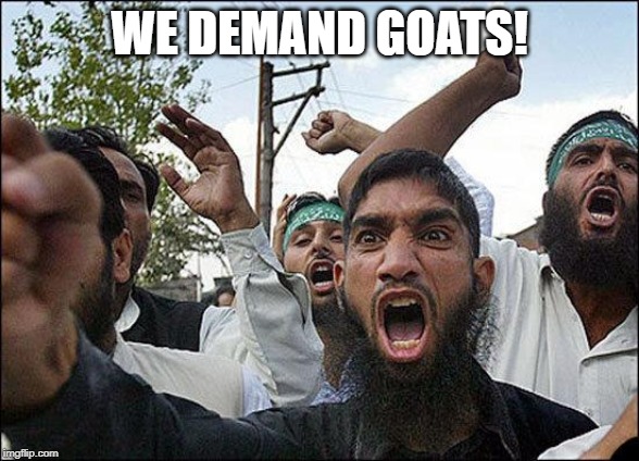 Muslim rage boy | WE DEMAND GOATS! | image tagged in muslim rage boy | made w/ Imgflip meme maker